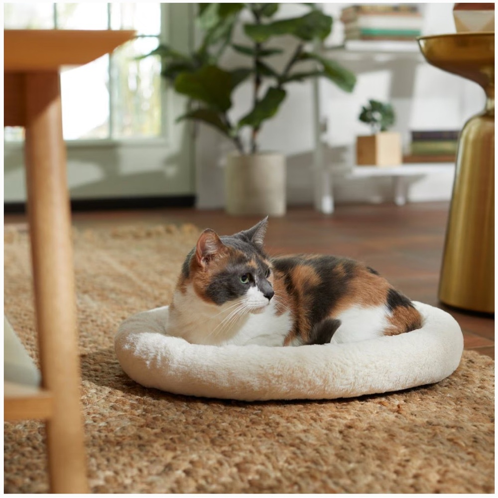 Frisco Self-Warming Bolster Kitten Bed